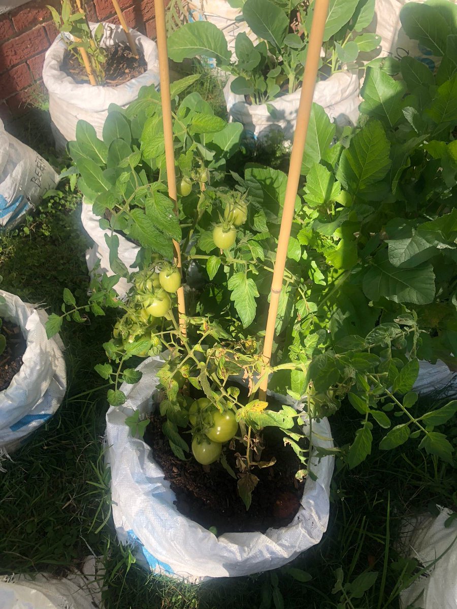 One of the winners of our "12 months of giving back" initiative, Operation Hunger South Africa, recycle our Dragonfly Mail Bags in amazing ways. 
Distributing blankets and clothing as well as growing vegetables for their soup kitchens
#recycle #sustainability #givingback