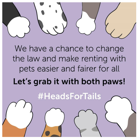 @michaelgove - thank you for including pet forms in the #RentersReformBill introduced today. We appreciate it's just the first stage of what's bound to be a bit of a journey, but one small step for legalese, one giant step for pet owning tenants.
#HeadsForTails