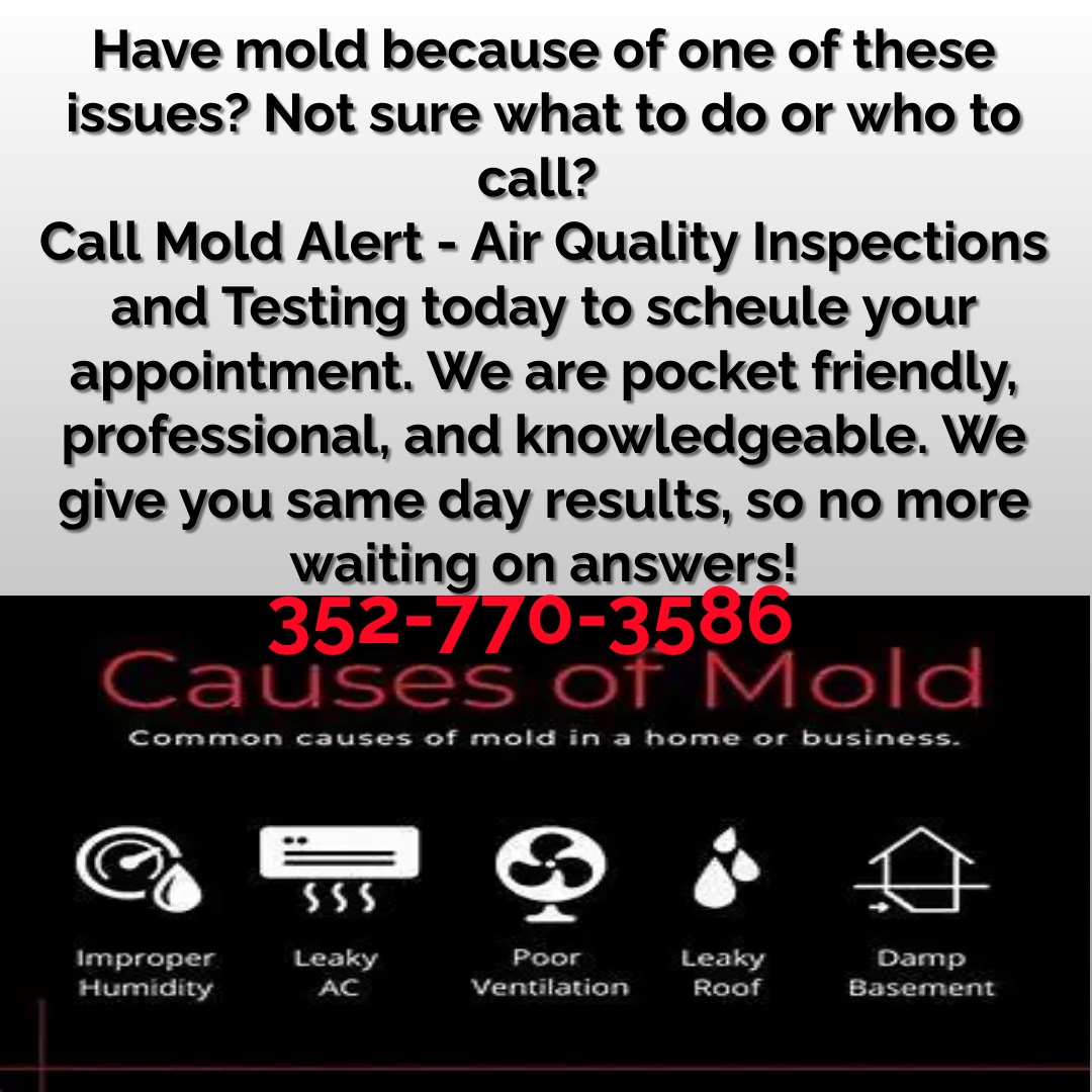 MoldAlertFL's tweet image. Call us today!