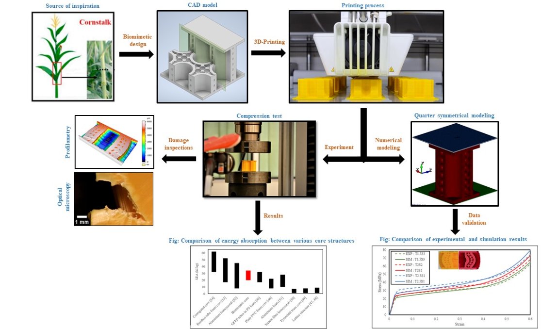 Biomim_MDPI's tweet photo. #RecommendedPaper
On the Mechanical Behaviour of Biomimetic Cornstalk-Inspired Lightweight Structures by Shakib Hyder Siddique, et. al. @UNSW
➡️Read the full paper here: https://t.co/I5myPbGYcG
✔️#BioinspiredDesign; #PorousStructures; #EnergyAbsorption; #CollapseMechanisms https://t.co/eEiowy0dfT