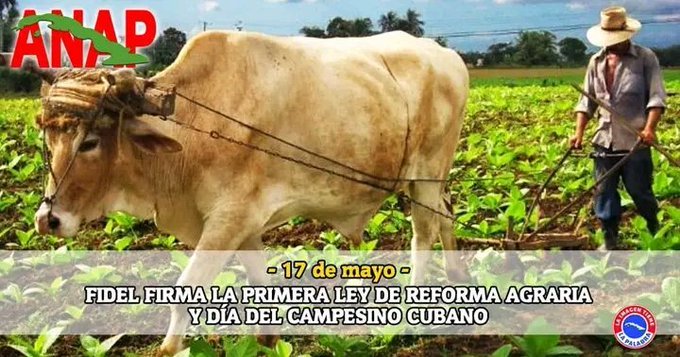 🇨🇺Felicidades campesino
por el día tan especial,
día hermoso y universal
para labrar el camino
Van forjando el destino
Poniendo el corazón
Y trabajando con pasión
La tierra les agradece
Porque el campo florece
Con toda la producción.
#DíaDelCampesino #Camagüey #MejorEsPosible