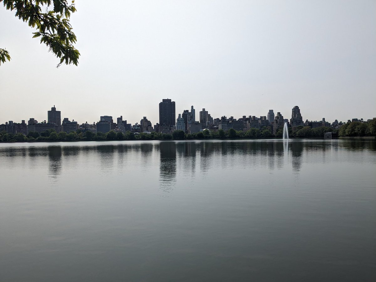 JessicaVerheij's tweet photo. Diversity is what makes a city. In #NewYork I found an incredible human diversity, but also - surprisingly - quite some #biodiversity 🌳🐝 as I learned, #CentralPark is even home to one of the main #birdwatching hotspots in the US. 🦜🦇🐀🐢 https://t.co/KMHl1uJOXq