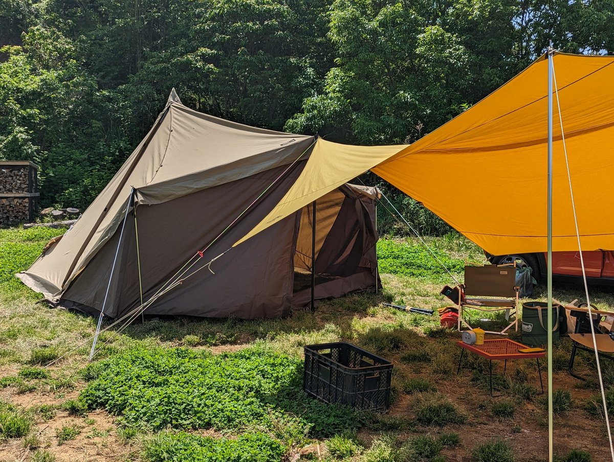 タッソTC+メッシュスクリーン+イエロータープで親友の初キャンプを