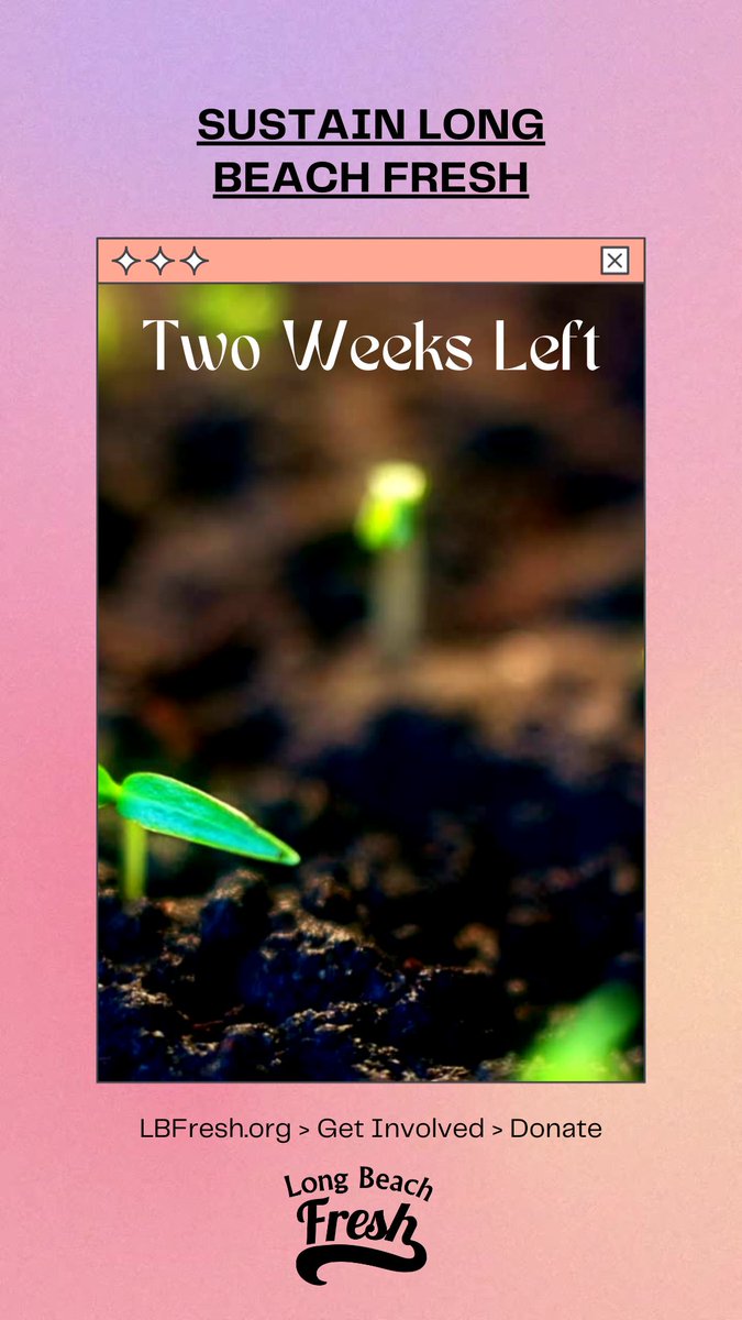 LB Fresh tweet media