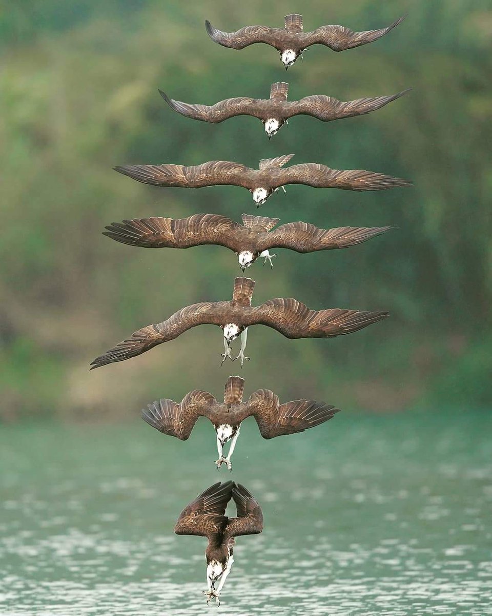 Wonderful World(Hana) tweet media