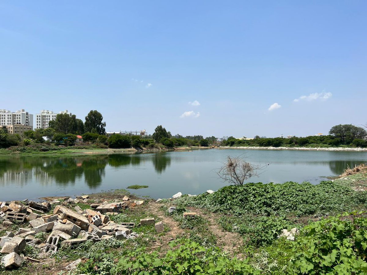krishnabgowda's tweet photo. Taking up survey of #Venkateshpura #Lake, protection work, tree plantation, walking track/bund creation and lake rejuvenation with funds of ₹2.5 cr. 
Visit along with survey officers, Lake dept officers, residents and scientists to identify the works to be taken up.

ವೆಂಕಟೇಶಪುರ ಕೆರೆಯ ಸರ್ವೆ, ಸಂರಕ್ಷಣೆ, ಗಿಡ ನೆಡುವ, ವಾಕಿಂಗ್ ಟ್ರ್ಯಾಕ್/ಬಂಡ್ ರಚನೆ ಮತ್ತು ಕೆರೆ ಪುನರುಜ್ಜೀವನ ಕೆಲಸ ₹ 2.5 ಕೋಟಿ ಅನುದಾನದಲ್ಲಿ ಕೈಗೆತ್ತಿಕೊಳ್ಳಲಾಗಿದೆ.

ಕೆರೆ, ಸರ್ವೆ ಇಲಾಖೆಯ ಅಧಿಕಾರಿಗಳು, ನಿವಾಸಿಗಳು ಮತ್ತು ವಿಜ್ಞಾನಿಗಳೊಂದಿಗೆ ಭೇಟಿ ನೀಡಿ ಕೈಗೊಳ್ಳಬೇಕಾದ ಕಾಮಗಾರಿಗಳನ್ನು ಸ್ಥಳದಲ್ಲಿ ಪರಿಶೀಲಿಸಿ ಸೂಚನೆ ನೀಡಿದ್ದೀನಿ.

#Byatarayanapura #TeamKBG