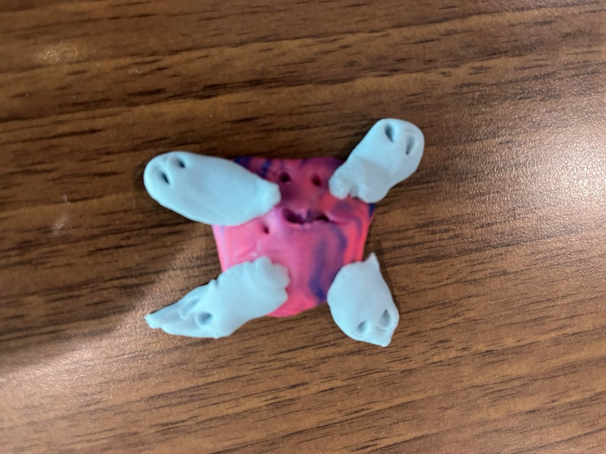 #accountancyzoo The Crab