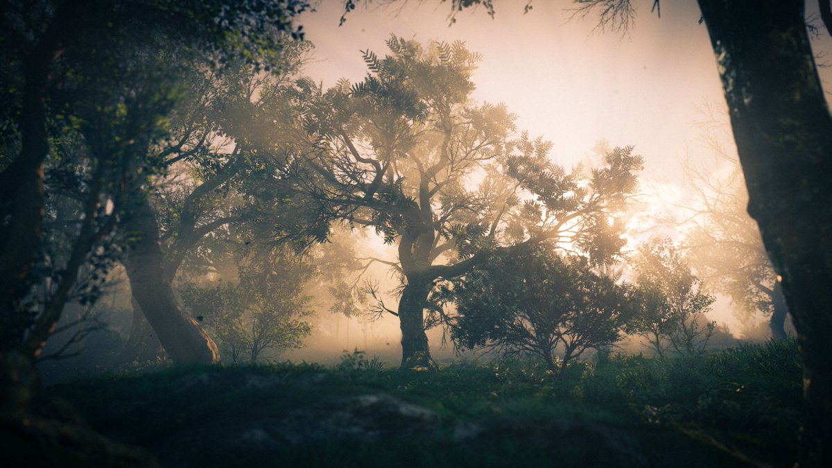 WorldviewVP's tweet image. ⛅️
-
#AssassinsCreed #AssassinsCreedValhalla #VirtualPhotography