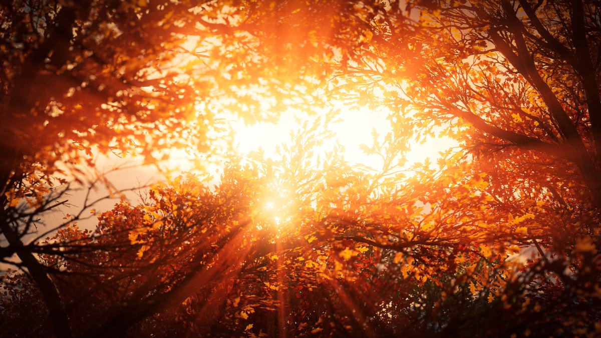 WorldviewVP's tweet image. ⛅️
-
#AssassinsCreed #AssassinsCreedValhalla #VirtualPhotography
