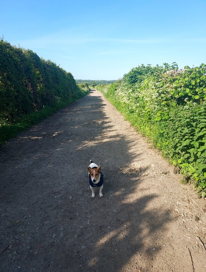 AngleyDigitalM's tweet image. Sometimes it can feel like a long road ahead but if you have a support buddy and take it one step at a time, things will start to feel brighter ☀️
#MentalHealthAwarenessWeek #anxiety #WednesdayThoughts