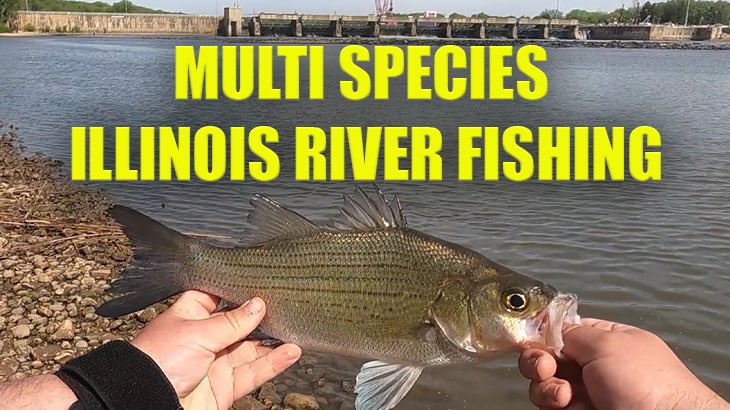 New Youtube is up, would appreciate it if you check it out. Leave a comment and like the video if you have time.  Thank you 
#fishing #bassfishing @dailyfishingBot @topfishingpics1 @TacoPackTeam 

youtu.be/ebHop2XHkwY