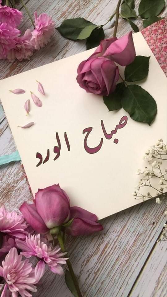 صباح الخير لمن استيقظ و ترك همومه نائمة ، صباح الخير لمن لا يوجد من يقول لهم صباح الخير ، صباح الخير لأولئك المضيئين دوما رغم انطفائهم