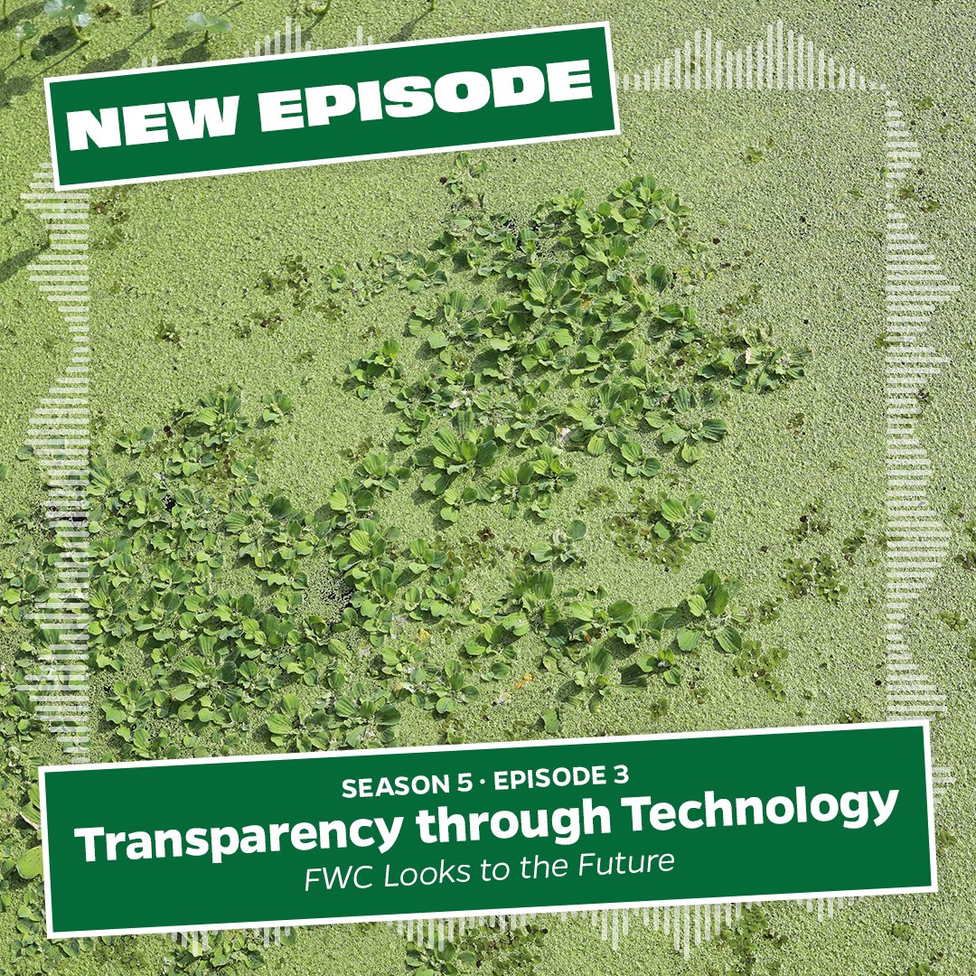 EPISODE 3 OUT NOW! Listen to this week's episode discussing how FWC prepares for the future.

Listen to the Working In The Weeds podcast on all major platforms or on our podcast webpage! podcasters.spotify.com/pod/show/ufifa…