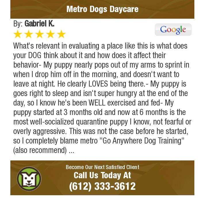 MetroDogsMN's tweet photo. 5 Star: Gabriel K. "What's relevant in evaluating a place like this is what does your..." https://t.co/NQp2NKBM3A https://t.co/itBLbV1pL1