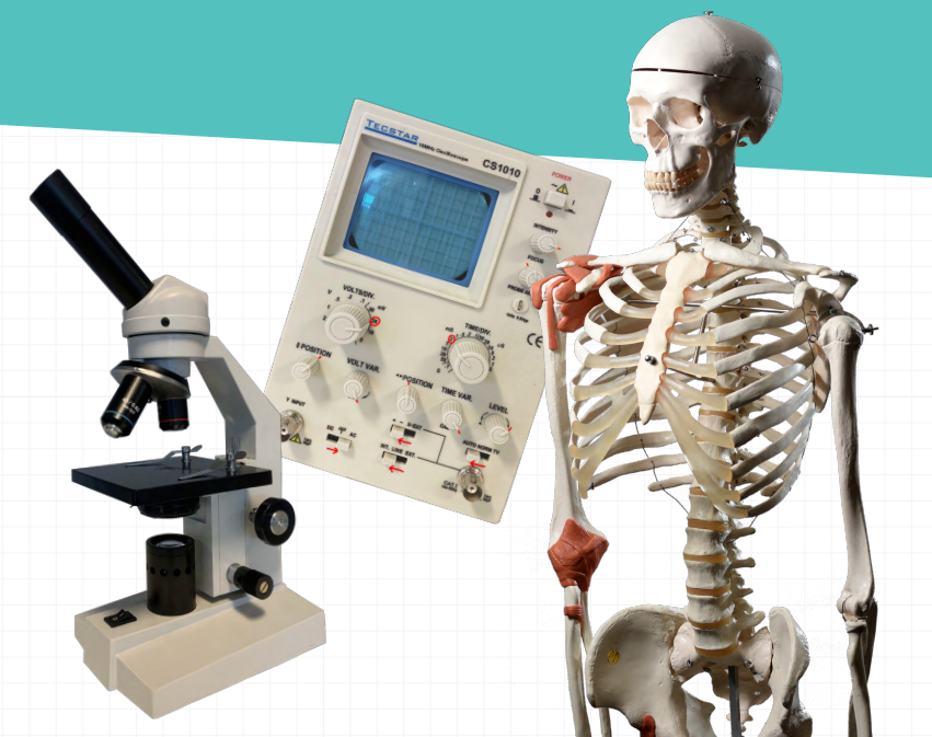 STEM Hub tweet media