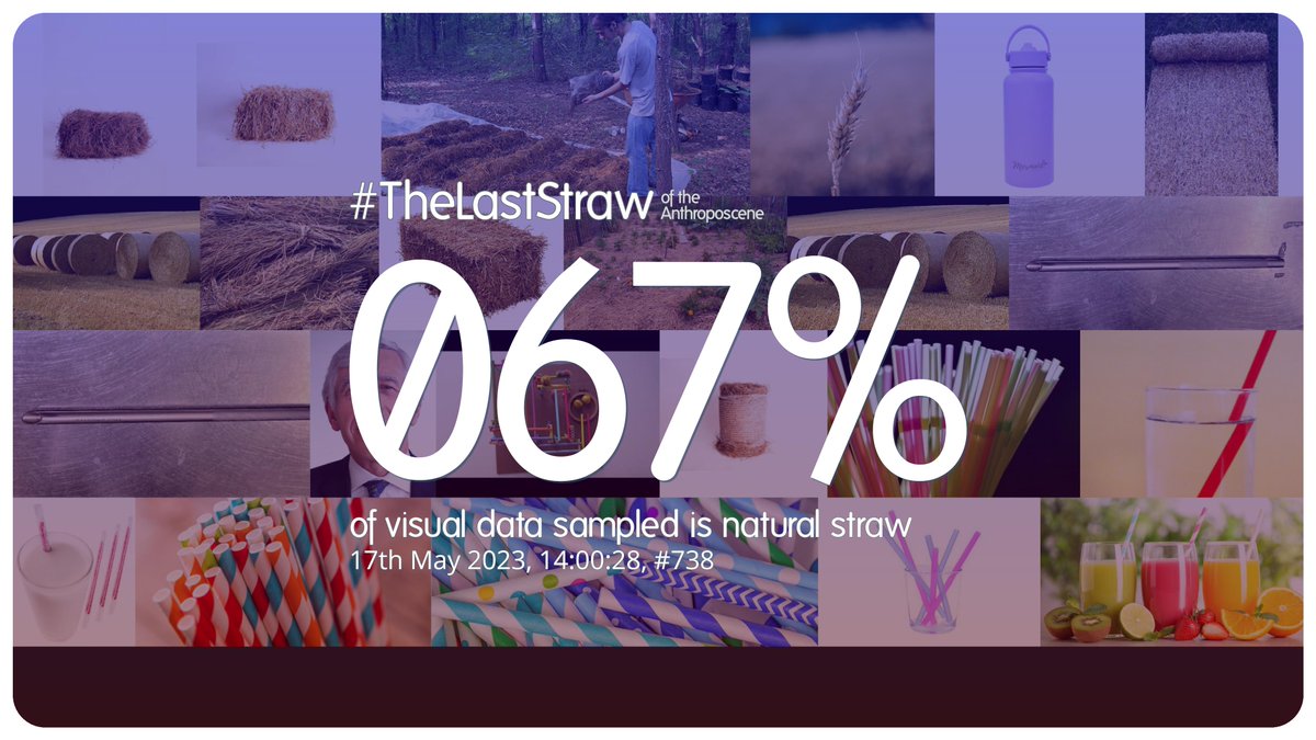 17th May 2023, 14:00:28, #738

67% of visual data sampled is natural straw.

#TheLastStraw #anthropocene #visualanalysis #countdown