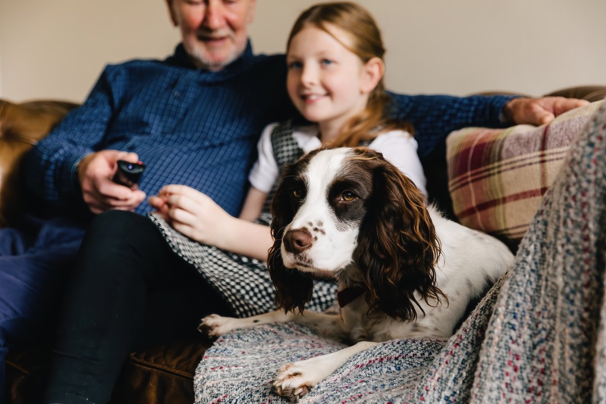 DogsTrust's tweet photo. Our #LetsWithPets scheme provides free advice to tenants looking for pet-friendly accommodation in the private rented sector as well as to landlords and letting agencies interested in adopting a โpets consideredโ approach ๐ถ๐ก https://t.co/GZU3IgzsfE