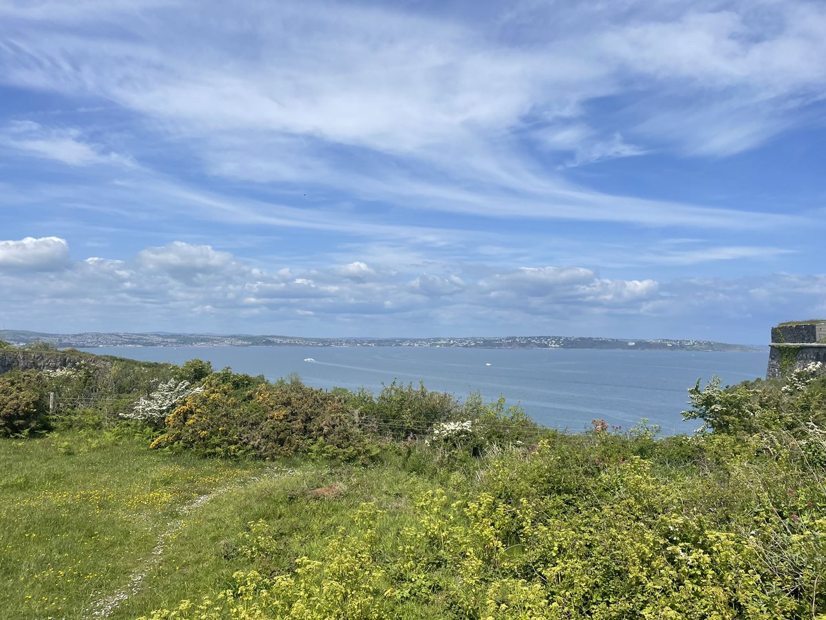 Dr Rory Honney tweet media