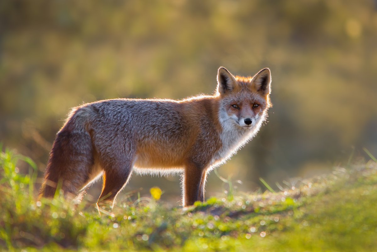 Foto expositie in De Spil Nieuwleusen
ow.ly/JJIC50Oq3xm