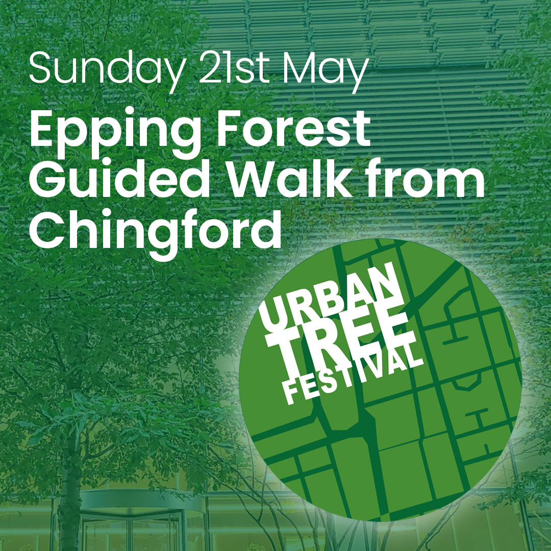 We Love London Walks on Twitter "RT UrbanTreeFest Epping Forest