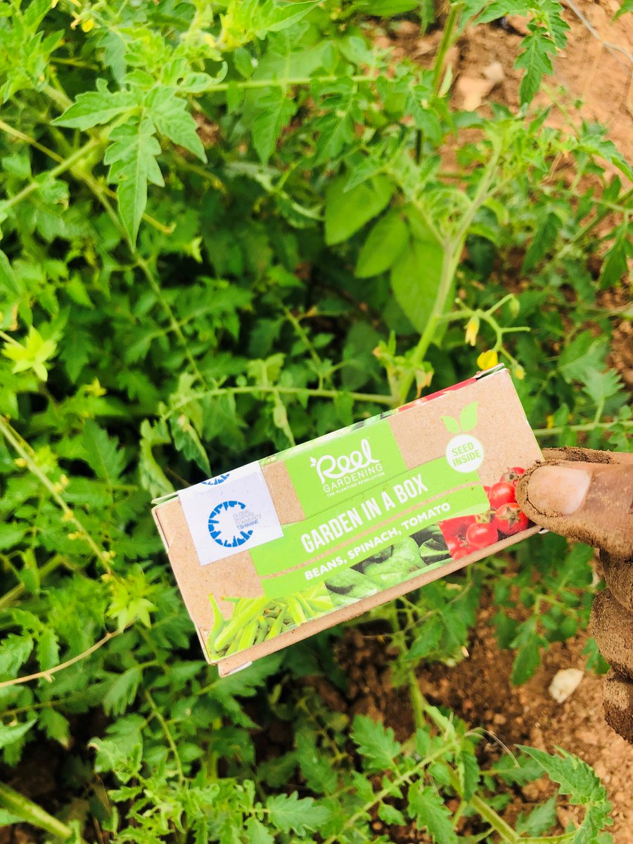 RT GlobalShapers "Creating opportunities for nutrition &amp; addressing food security needs - that's what the <a href="/TshwaneHub/">Tshwane Shapers</a> is all about! 
They use unused spaces in schools to make it happen. Through climate change education,  they empower youth to expand … "