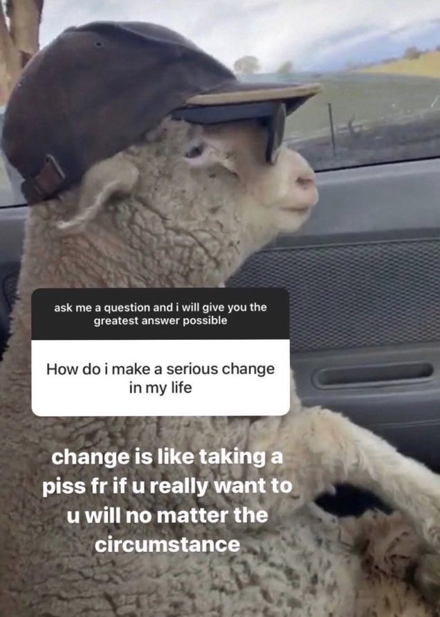 northstardoll's tweet image. 