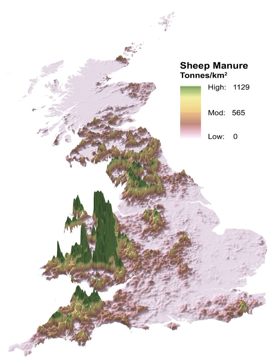 Muir Freer tweet media