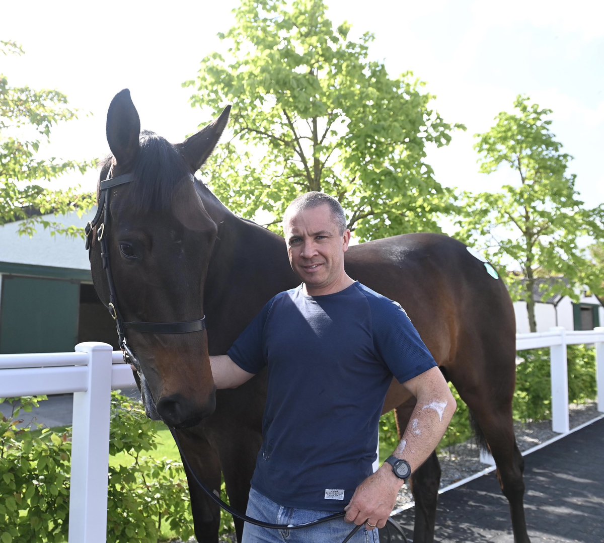 Gullane Stables tweet media