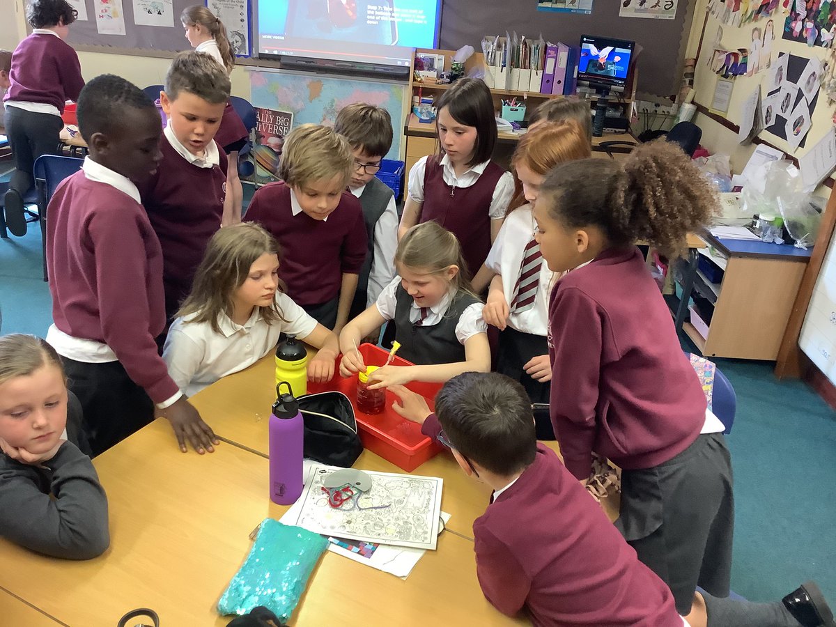 We have been learning about the heart and made a model of a pumping heart. ❤️❤️