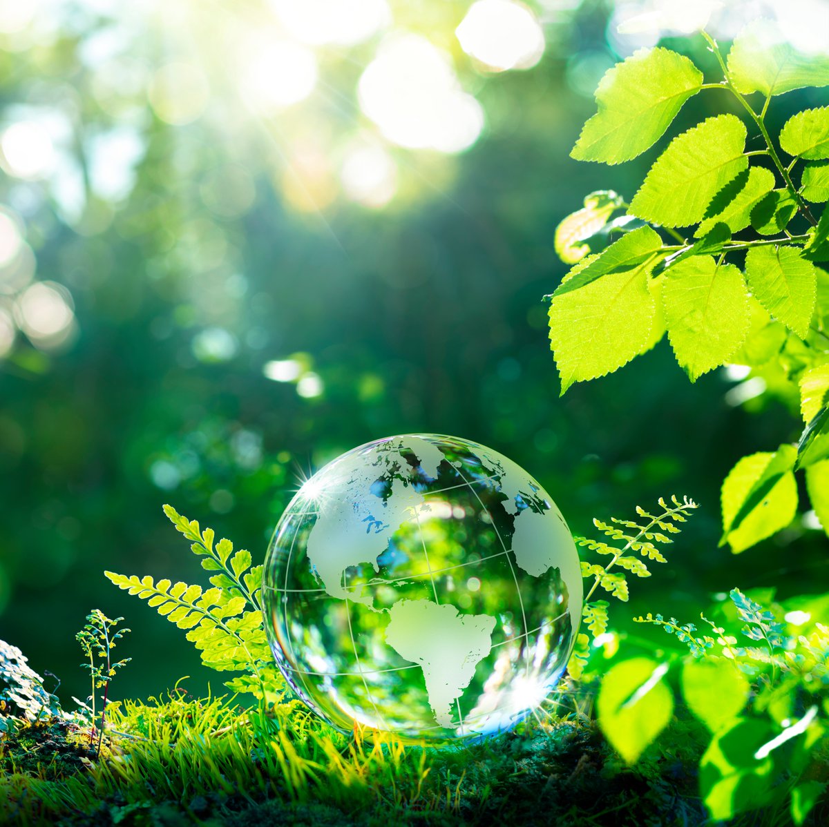 diederikkroese's tweet image. ¿Quieres reducir costos de mantenimiento de TI y mejorar tu competitividad en el mercado? ¡El hardware reacondicionado es la clave! 💡💰 Nuestra empresa te ofrece productos de calidad que te ayudarán a ahorrar dinero y a proteger el planeta al mismo tiempo.  ♻️🌍 #ITMaintenance