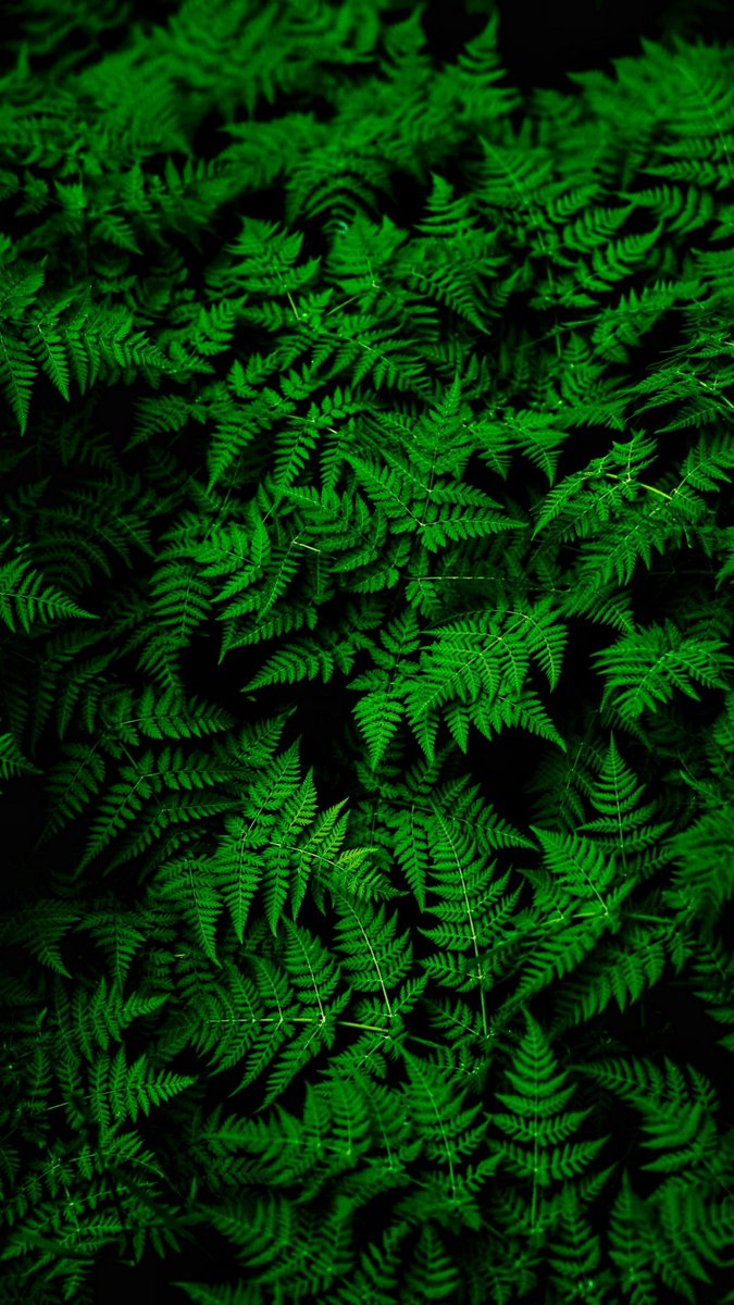 shefali_khatun's tweet photo. #photography #NextLevelExploration https://t.co/6K0lhusw6I