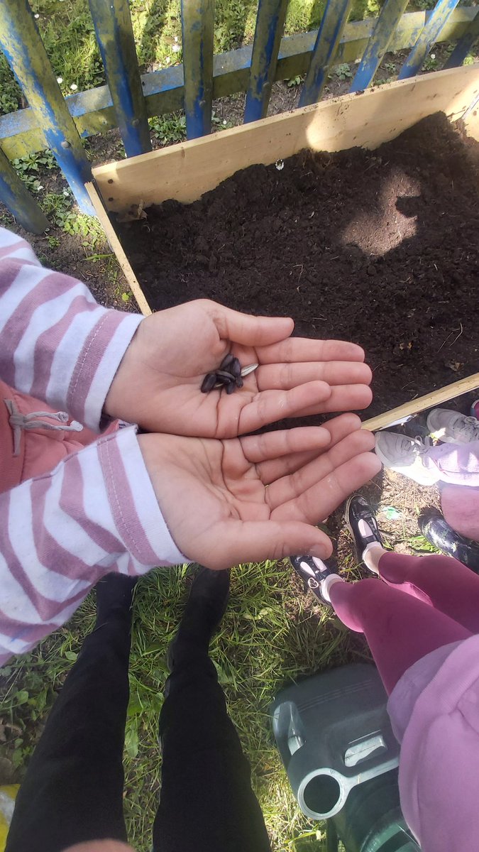 Forestschoolmvps tweet media