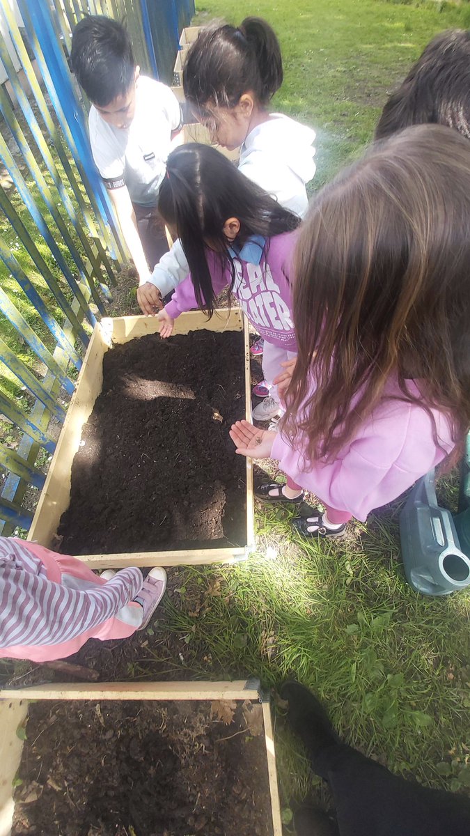 Forestschoolmvps tweet media