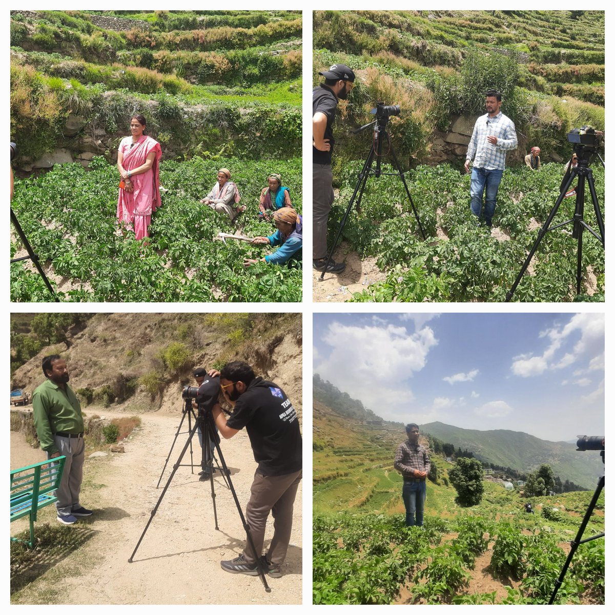 Thalisain_RDUK's tweet photo. Today, Dr. #Kanchan Negi, Consultant-KM, PMU, #AM_Sales #AYP-KM Pauri Visited Potato Seed project area # Vill_Jalloo & Recorded the Bites of #BDO_Thalisain, #ADO_(H), #REAP&NRLM staff for the purpose of making a #video_documentry of the #REAP_Project.
@REAPPauri @REAPUttarakhand https://t.co/cWvEdQgKil