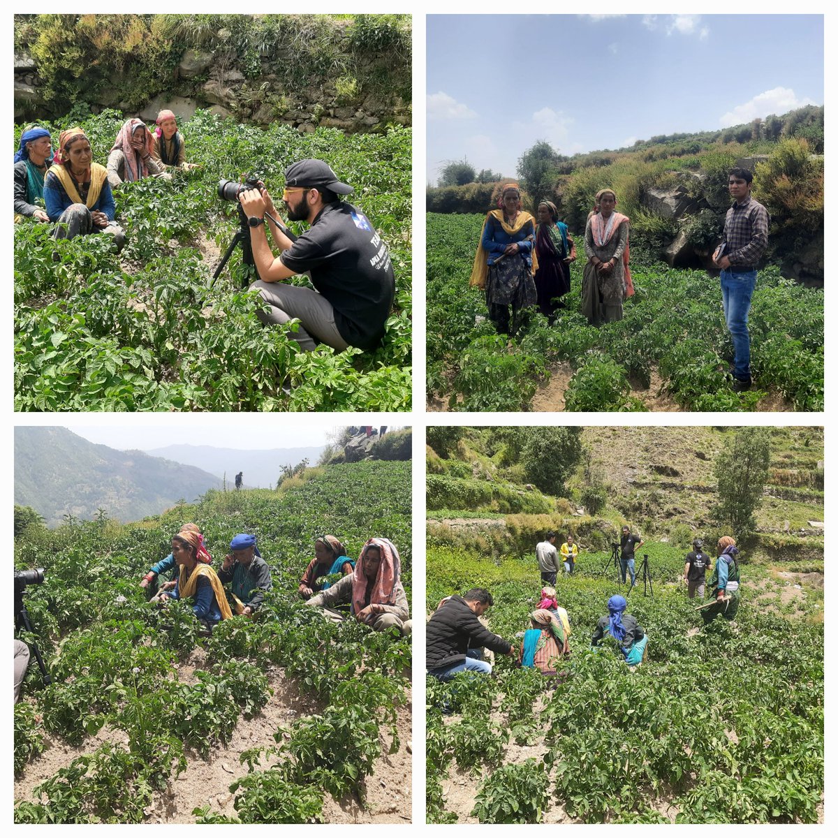 Thalisain_RDUK's tweet photo. Today, Dr. #Kanchan Negi, Consultant-KM, PMU, #AM_Sales #AYP-KM Pauri Visited Potato Seed project area # Vill_Jalloo & Recorded the Bites of #BDO_Thalisain, #ADO_(H), #REAP&NRLM staff for the purpose of making a #video_documentry of the #REAP_Project.
@REAPPauri @REAPUttarakhand https://t.co/cWvEdQgKil