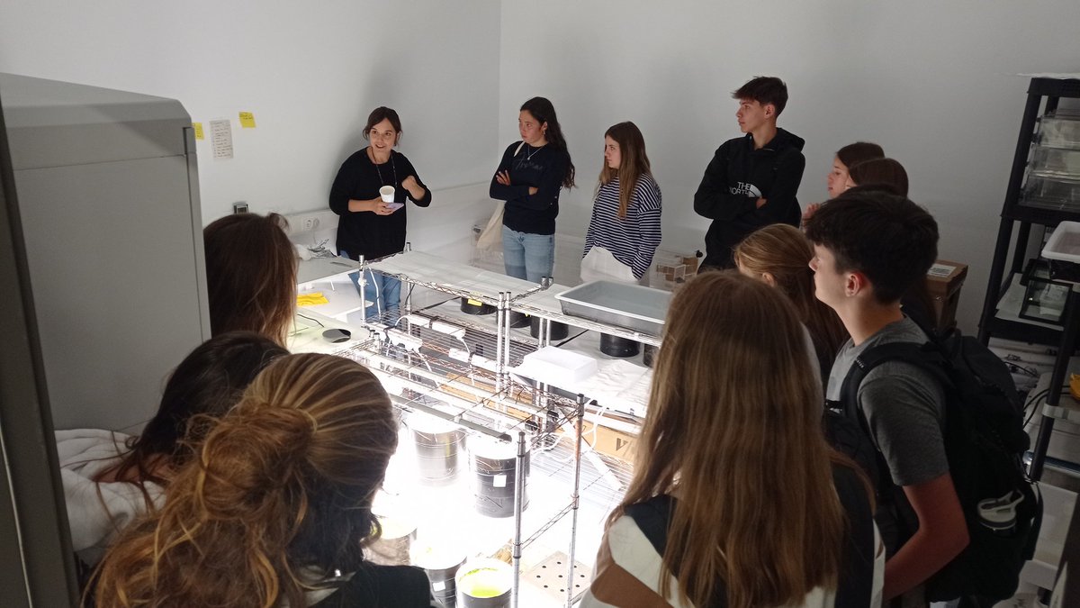 BETA Tech Centre tweet media