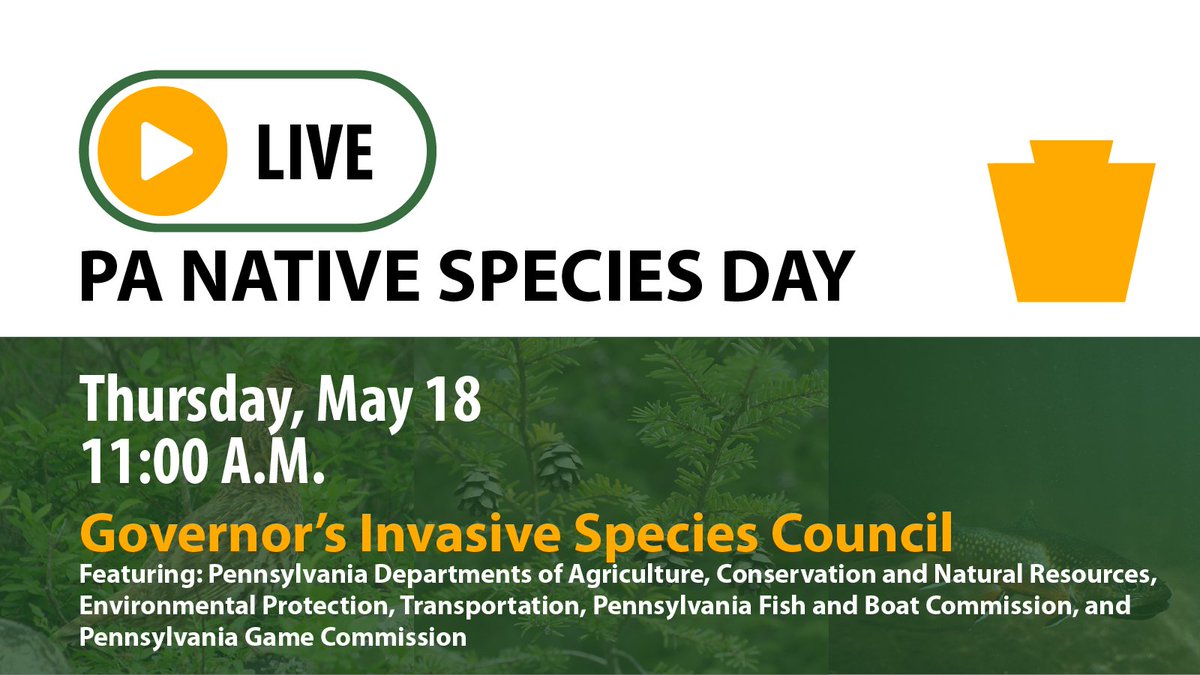 Celebrate #PaNativeSpeciesDay with the Pennsylvania Governor’s Invasive Species Council by tuning into a live event on Thursday, May 18, at 11:00 A.M., that can be watched on DCNR’s Facebook page ➡ facebook.com/padcnr or at the following link ➡️ pacast.com/live/dep.