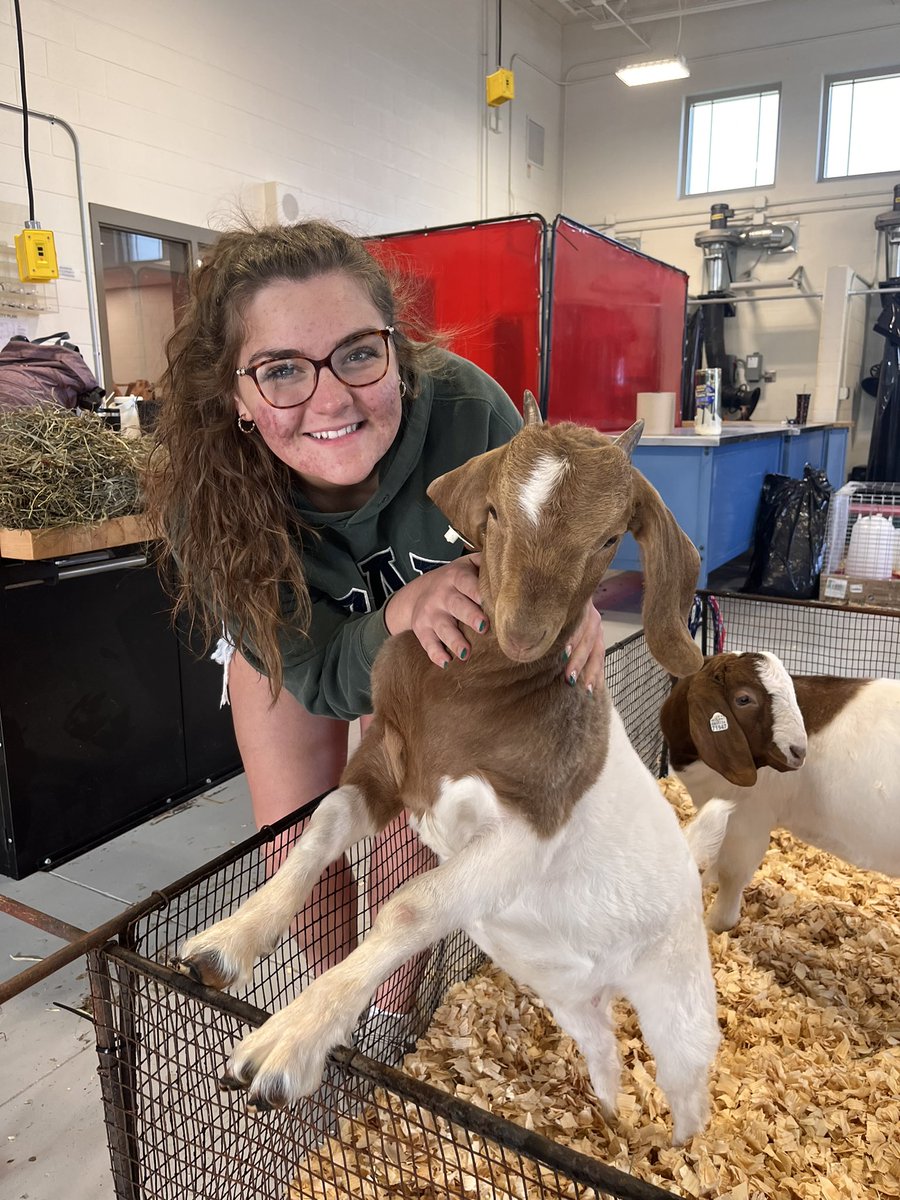 LCFFA1's tweet photo. Today is our Petting Zoo! Members we’re able to bring in their animals and educate about how to care for them. We also were able to bring in a tractor to showcase! https://t.co/CL59wlIZXB