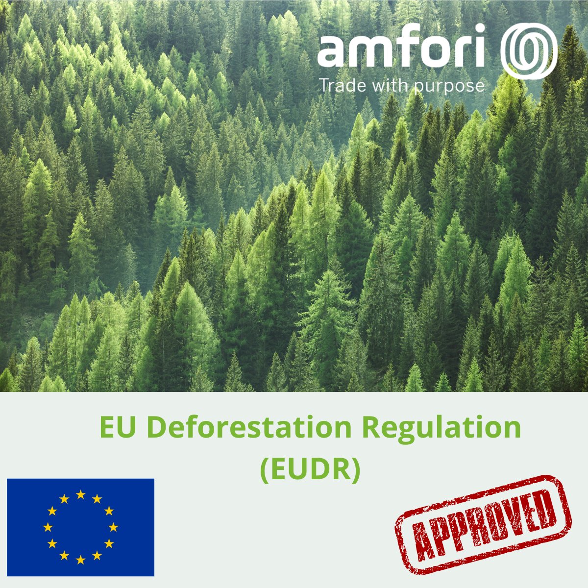 The final text of the #EUDR is now formally approved!🌴amfori has supported the process from the start and is preparing to facilitate its implementation. Read more👉 amfori.org/news/amfori-we… #deforestation #duediligence