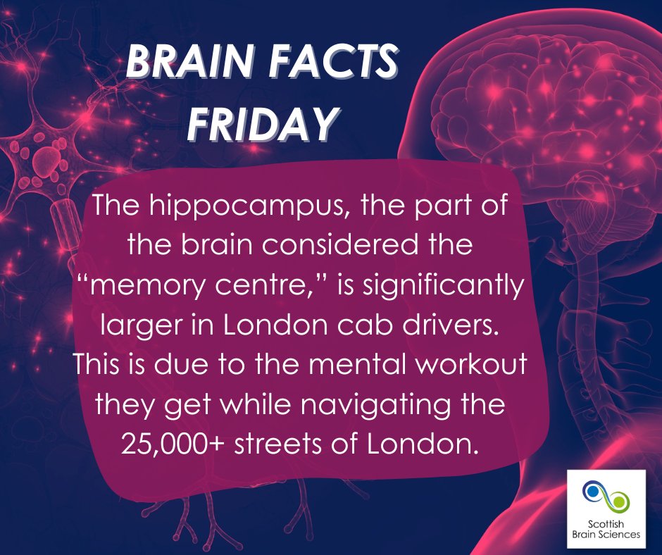 Welcome to #BrainFactsFriday, where we share some pretty amazing facts about our pretty amazing brains. 🧐🧠
#BrainFacts #Neuroplasticity #BrainHealth #Didyouknow #interestingfacts