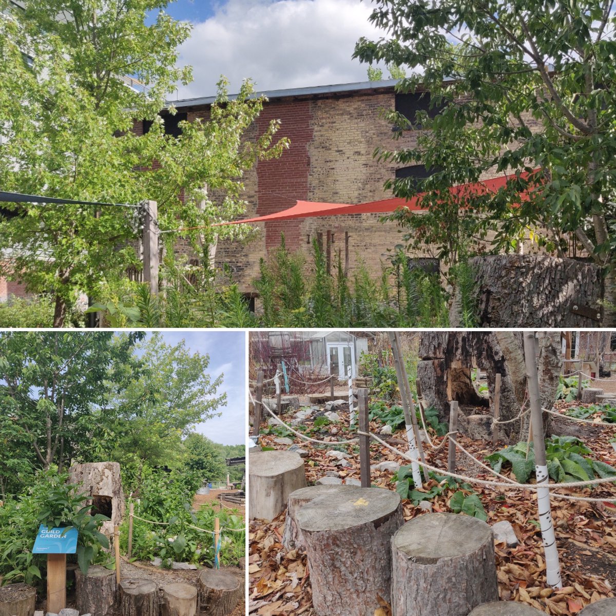 SOULandCare's tweet photo. The Guild Garden at Evergreen Brick Works Children's Garden is one of the sites SOUL recognized as a #GreenerGreenspace is 2022! 
 Check out a profile of the garden on our website. https://t.co/wW24OJh78w https://t.co/DQvu96uWml