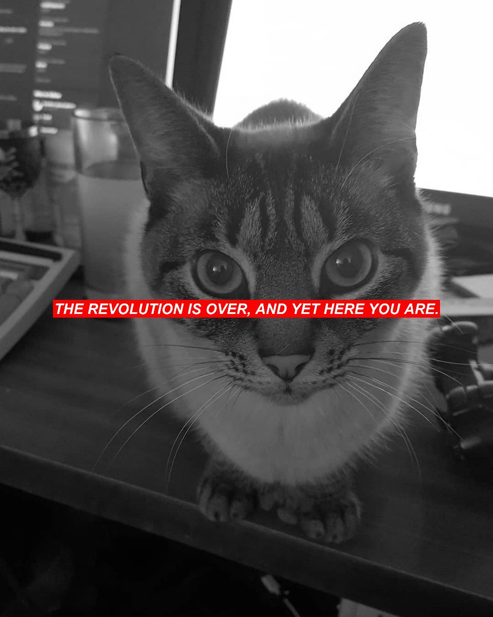 enkiv2's tweet photo. THE REVOLUTION IS OVER, AND YET HERE YOU ARE. #BarbaraHolzer #JennyKreuger https://t.co/qv5foYbhBt
