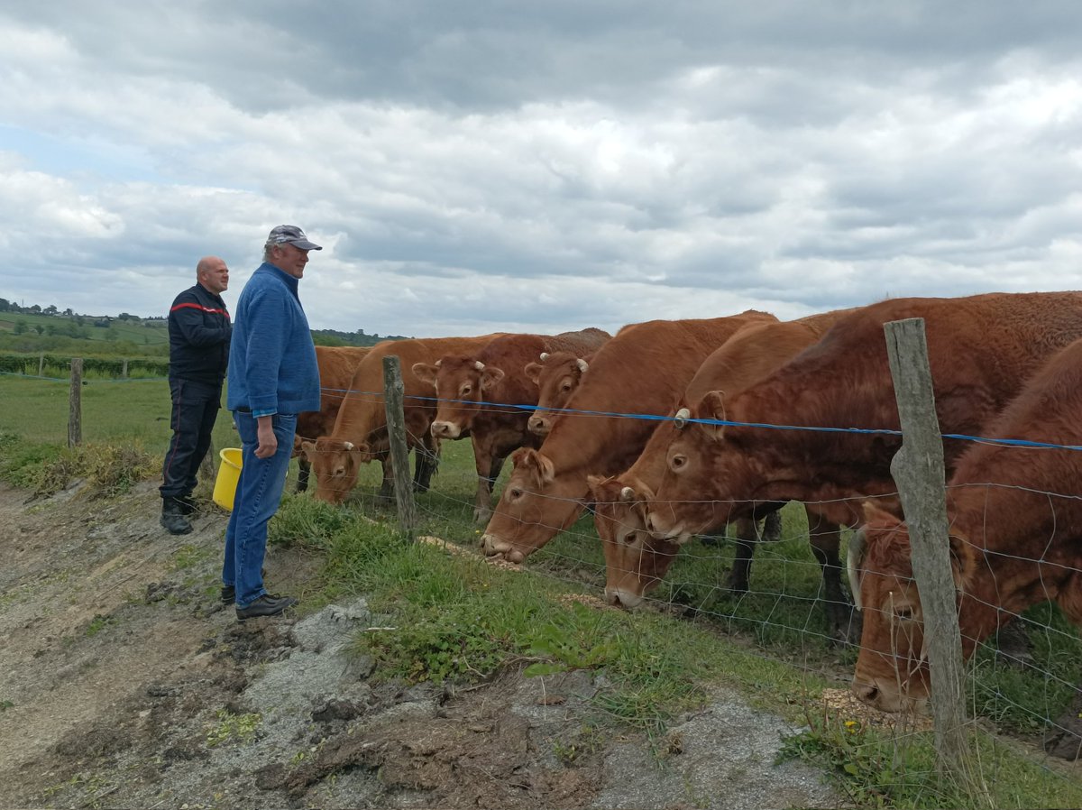 [Convention avec le Service de remplacement des agriculteurs]

Initiée en 2018, la convention bénéficie à 42 sapeurs-#pompiers volontaires - agriculteurs.

3️⃣1️⃣9️⃣ journées de remplacement ont bénéficié à nos sapeurs pompiers volontaires en compensation de leur engagement citoyen