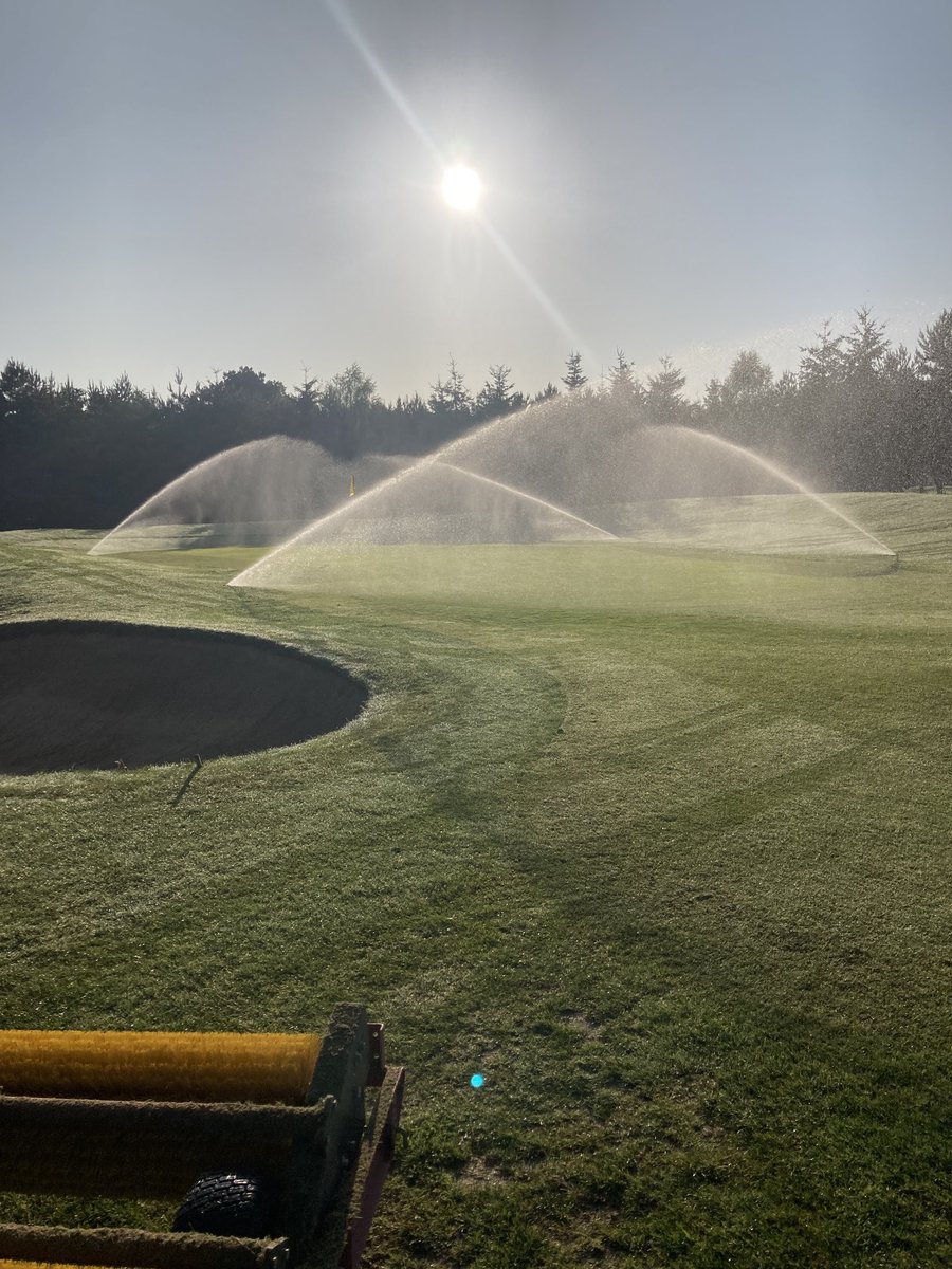 Stephen Curtis tweet media