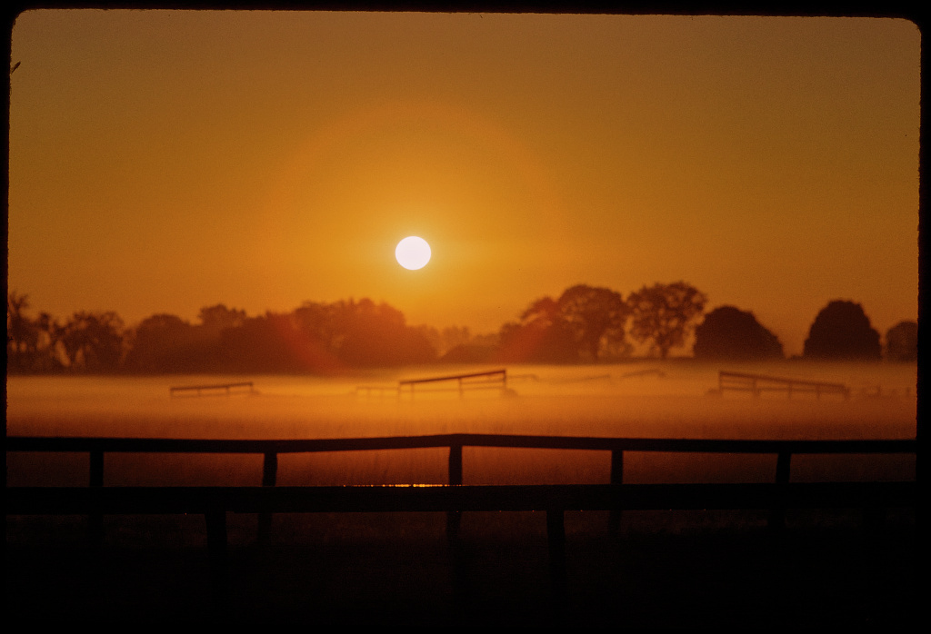 Sonia SO the Lovely Aphrodite tweet media