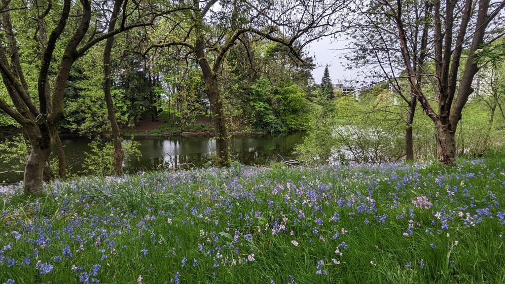 Walking Scotland tweet media