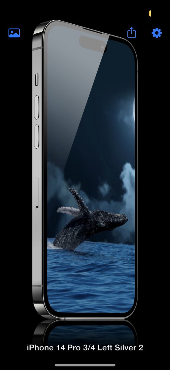 added to my paid channel 🚂 DM me to join 👊🏼