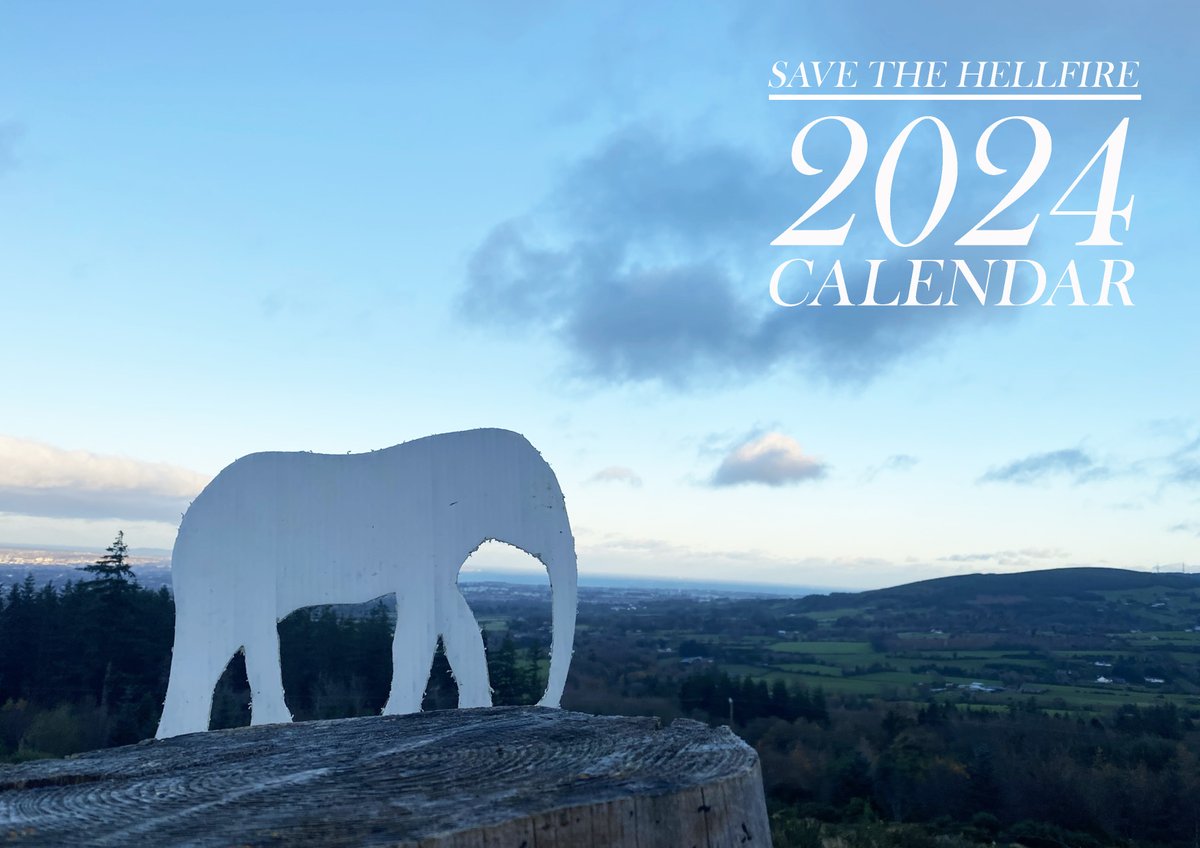 Making plans....

We know it's a little early but thought it would be good to get some feedback. What would you like to see more of in your  STH 2024 Calendar? 🌿🐘
#wednesdaythought #nature #biodiveristy #wildlife