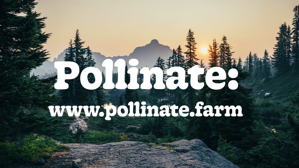 It’s beautiful. pollinate.farm