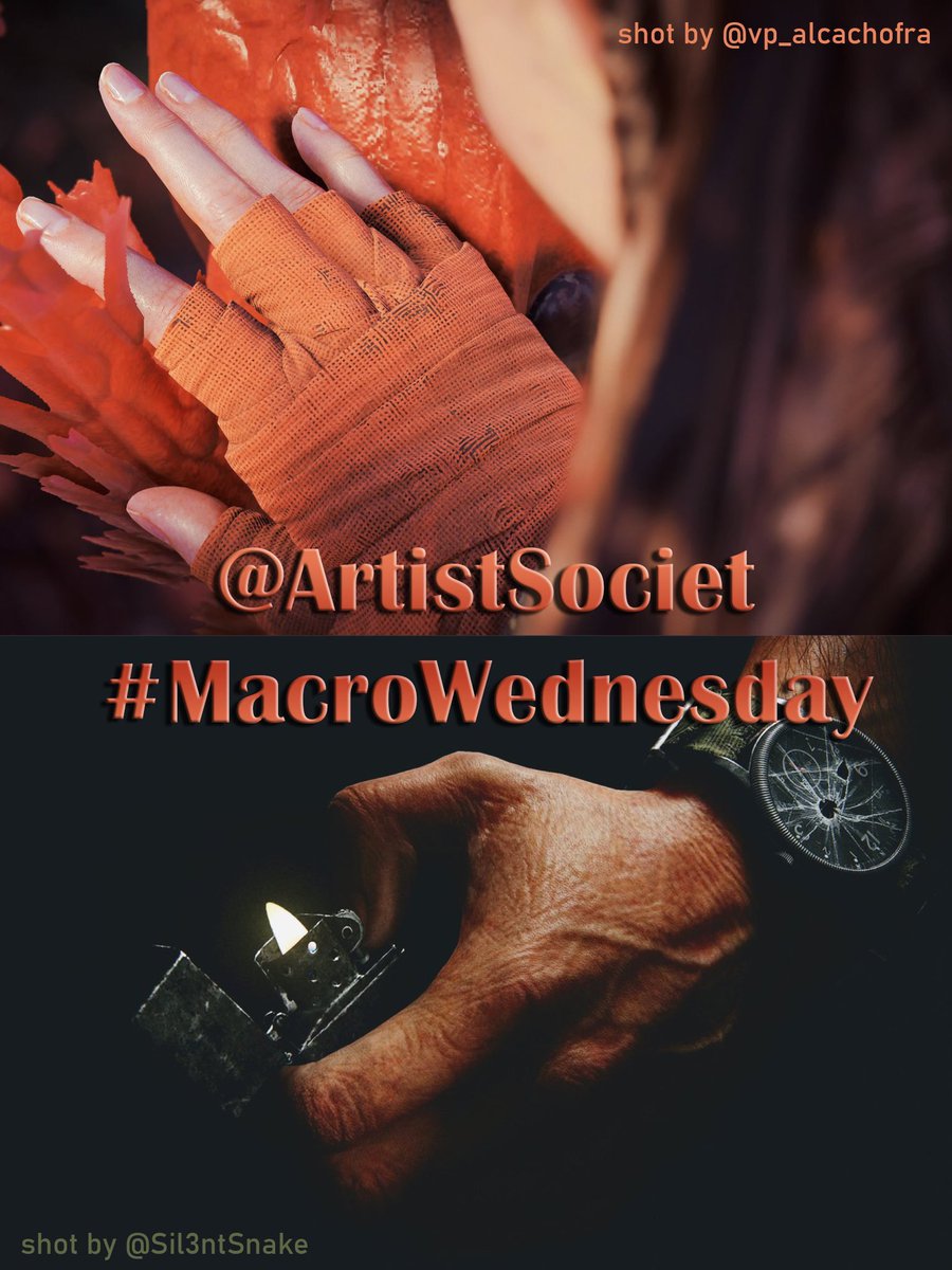 Hello! 🤗 Today we take a closer look at things with another #MacroWenesday 🔎📸☺️

Poster by @vp_alcachofra & @Sil3ntSnake 

#ArtisticofSociety 
#VirtualPhotography